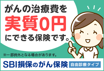 SBI損保のがん保険